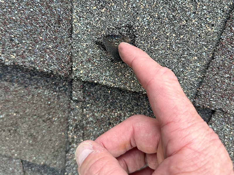 Close-up of a finger pointing to hail damage on a roof shingle, showing a visible dent.